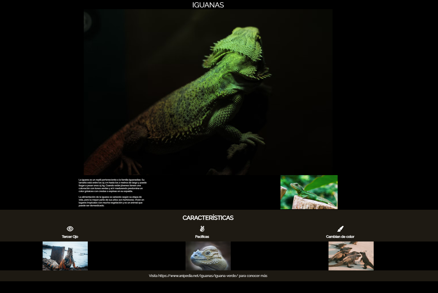 Captura de pantalla del proyecto Iguana Page