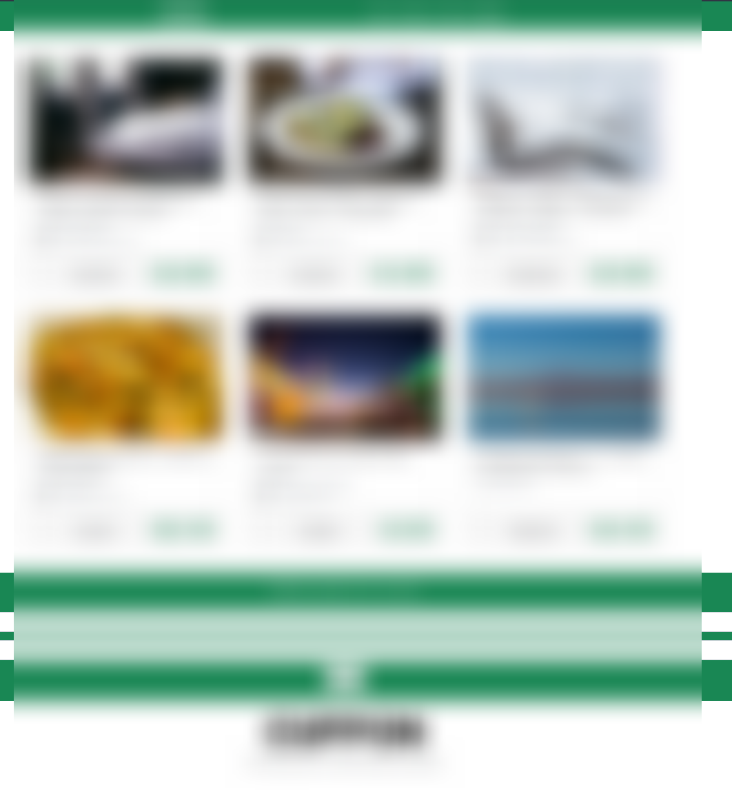 Captura de pantalla del proyecto Tienda Cupón